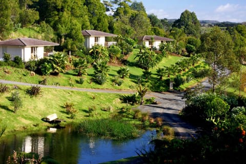 Garden, Garden view, Lake view