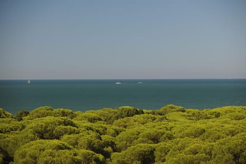 Natural landscape, Garden, Balcony/Terrace, Beach, Hiking, Sea view