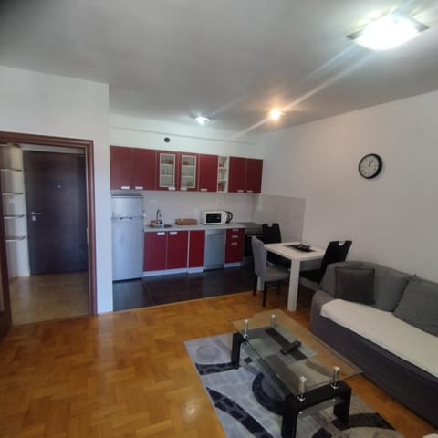 Rent a Conform Apartment Apartment in Podgorica