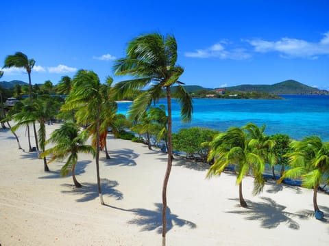 Luxury Beachfront Duplex Villa on Sapphire Beach V Villa in Virgin Islands (U.S.)