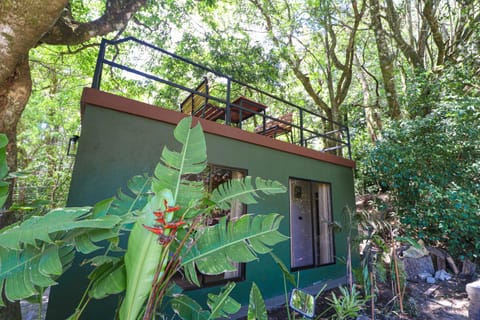 La Casa de la Montaña Alojamiento y desayuno in Monteverde