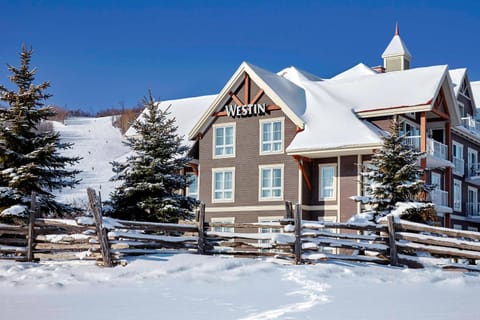 The Westin Trillium House, Blue Mountain Hotel in Grey Highlands