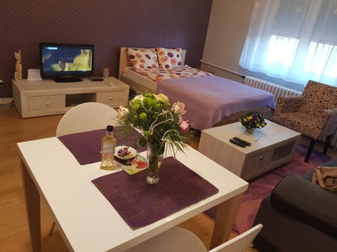 SARA - Modern apartment in the city center Apartment in Novi Sad