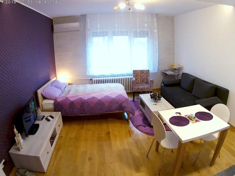 SARA - Modern apartment in the city center Apartment in Novi Sad