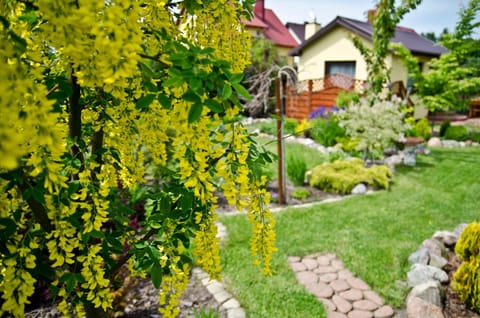 Property building, Natural landscape, Summer, Garden, On site, Garden view