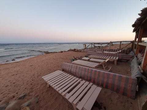 Day, Natural landscape, Beach, Sea view, Sunrise, Sunset, sunbed