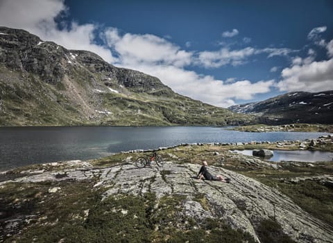 Natural landscape, Cycling