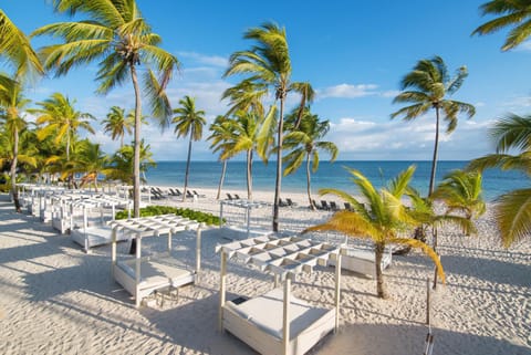 Beach, Sea view