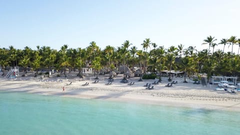 Bird's eye view, Beach