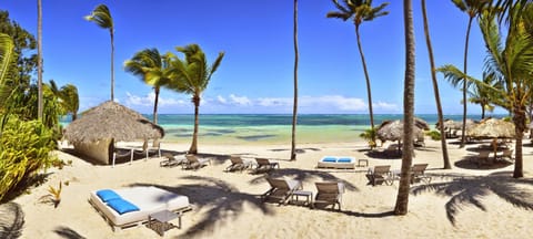 Catalonia Royal Bavaro - All Inclusive - Adults Only Resort in Punta Cana