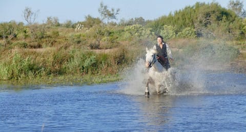 Horse-riding