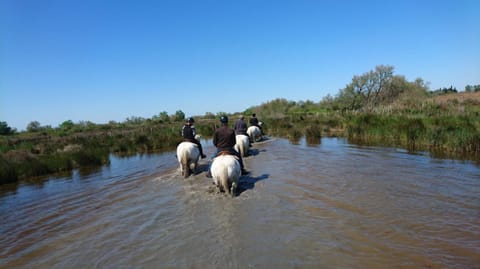 Horse-riding