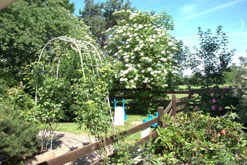 Garden, Garden view