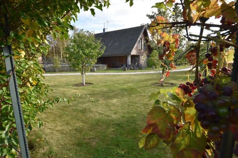 Poilsio namelis su pirtimi House in Palanga