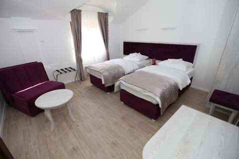 Apis Hotel Hôtel in Dubrovnik-Neretva County