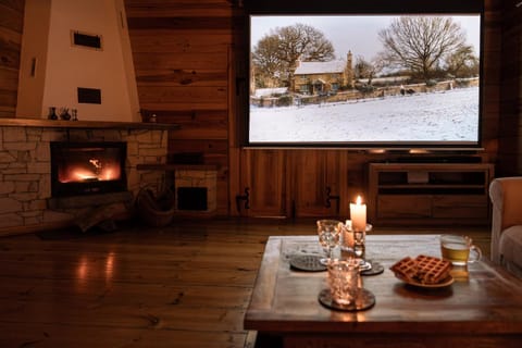 Winter, TV and multimedia, Food and drinks, fireplace