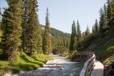 Natural landscape, Summer, Hiking