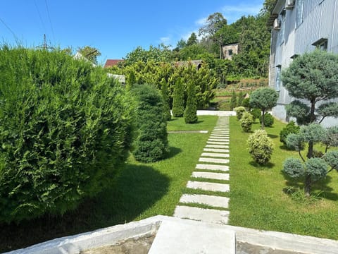 Natural landscape, Garden, Garden view