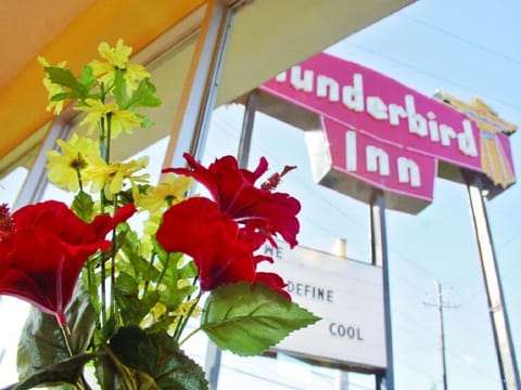 The Thunderbird Inn Hôtel in Savannah