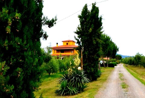 Garden, Lobby or reception, Garden view