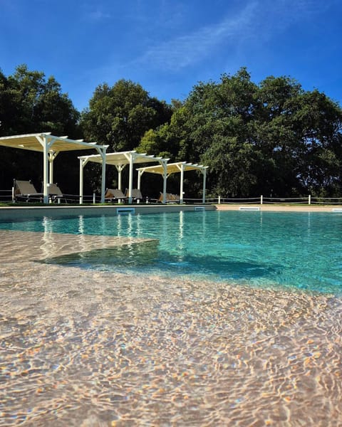 Day, Pool view, Swimming pool