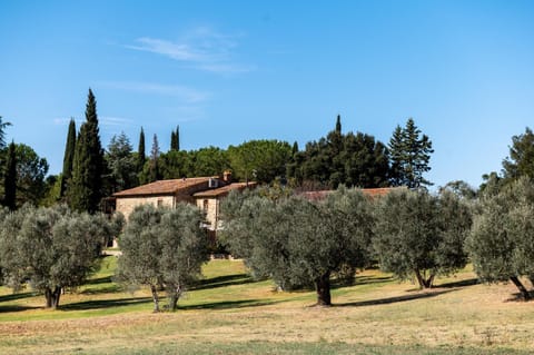 Spring, Day, Natural landscape, Garden, Garden view