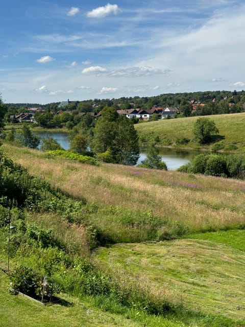 Natural landscape, Garden view