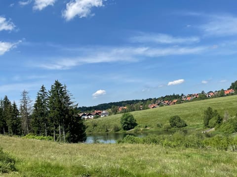 Natural landscape, Garden view