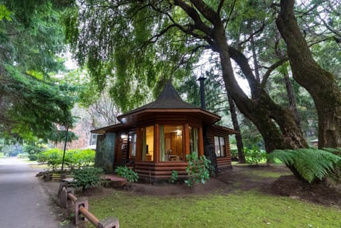 Cabañas el Dorado Pucón Nature lodge in Pucon