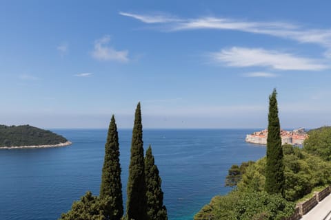 Teresa's view Apartment in Dubrovnik