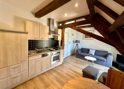 Springiersbacher Hof Apartment in Ediger-Eller