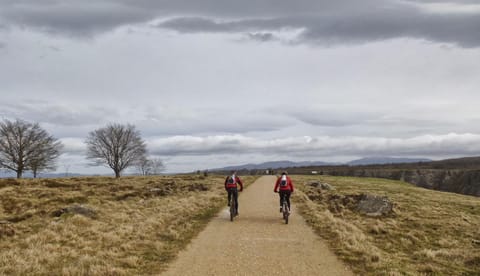 Natural landscape, Cycling, Autumn