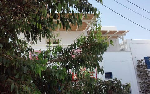 Vasiliki's House Condo in Naxos