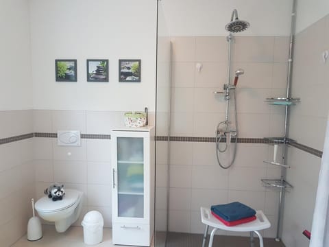 Bathroom, acessibility