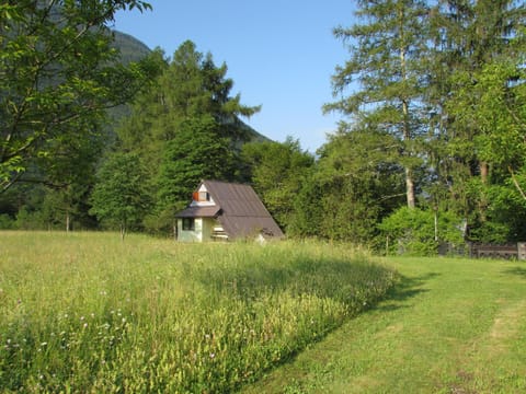 Apartma Narnia Copropriété in Bovec