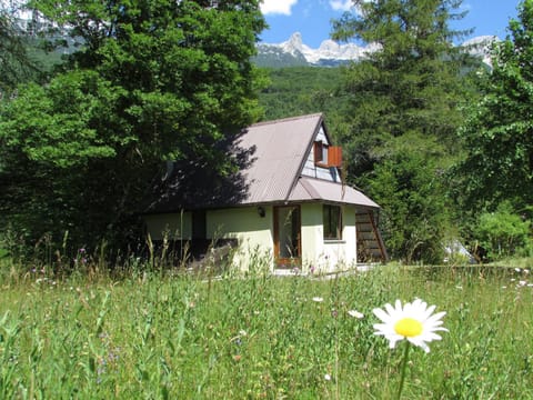 Apartma Narnia Copropriété in Bovec