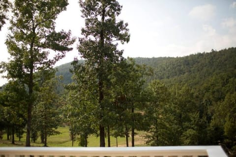 Stonehill Cottages Country House in Arkansas