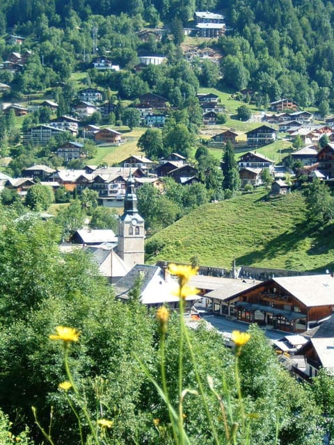 Neighbourhood, Mountain view