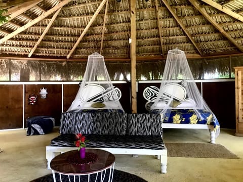 Moringa Ingadi Lodge nature in Treasure Beach