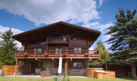 Chalet Des Sangliers Chalet in Bourg-Saint-Maurice