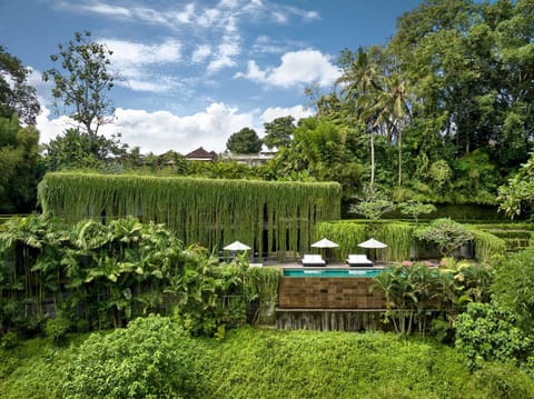 Natural landscape, Garden, Garden view, Swimming pool, sunbed