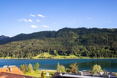 Natural landscape, Lake view