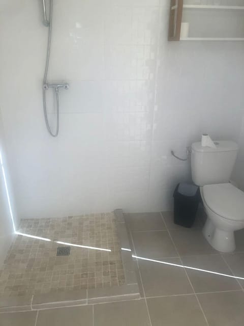 Shower, Toilet, Swimming pool