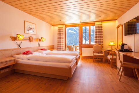 Alpenhof Hotel in Grindelwald