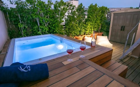 Beautiful Penthouse in Athens with outside jacuzzi Apartment in Athens