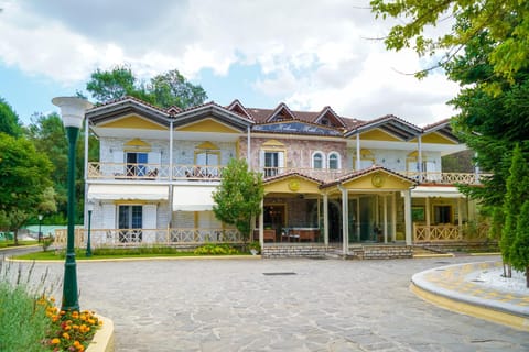 Krikonis Hotel Hotel in Ioannina