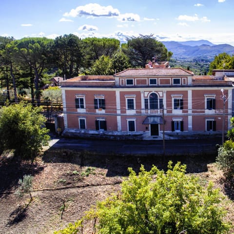 Property building, Nearby landmark, Facade/entrance, Neighbourhood, Bird's eye view, Garden