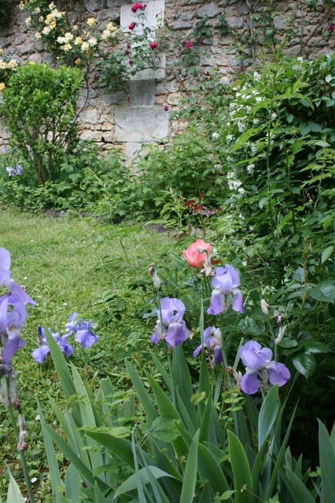 Ancien pavillon de chasse du château de Chaumont sur Loire House in Centre-Val de Loire