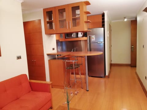 Andes Suites Condominio in Providencia