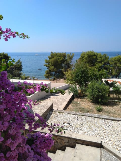 Apartman Viktor Apartment in Murter